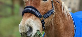 0. Pourquoi ce rayon est né ?Visuel