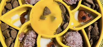 L’alimentation : Le pilier fondamental quand la santé vacille...Visuel