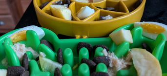 Adapter l’alimentation selon la pathologie : Cancer, problèmes cardiaques, arthrose : Quoi éviter, quoi privilégier ?Visuel