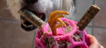 Pourquoi le prix des friandises naturelles pour chiens est-il plus élevé qu’on ne l’imagine ?Visuel