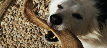 Est-ce que toutes les "boutiques" se valent ?Visuel