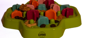 Pourquoi nourrir son chien deux fois par jour est souvent la meilleure option ?Visuel