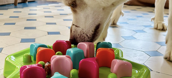 Avis d'utilisateursVisuel