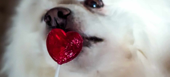 Présence et Confort avec DouceurVisuel