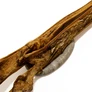Peau de tête de boeuf PREMIUM - 35cm Visuel 4