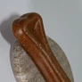 Os Fromage - Boeuf - Taille XL Visuel 2