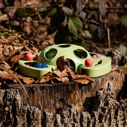 Shire Pets - Jeu d'intelligence Visuel