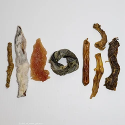 Pochette - Découverte de la mastication Visuel