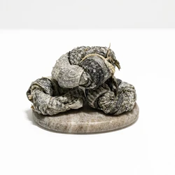 Donuts de Morue - X3 Visuel