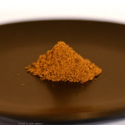 Poudre de viande - Canard - 100g Visuel